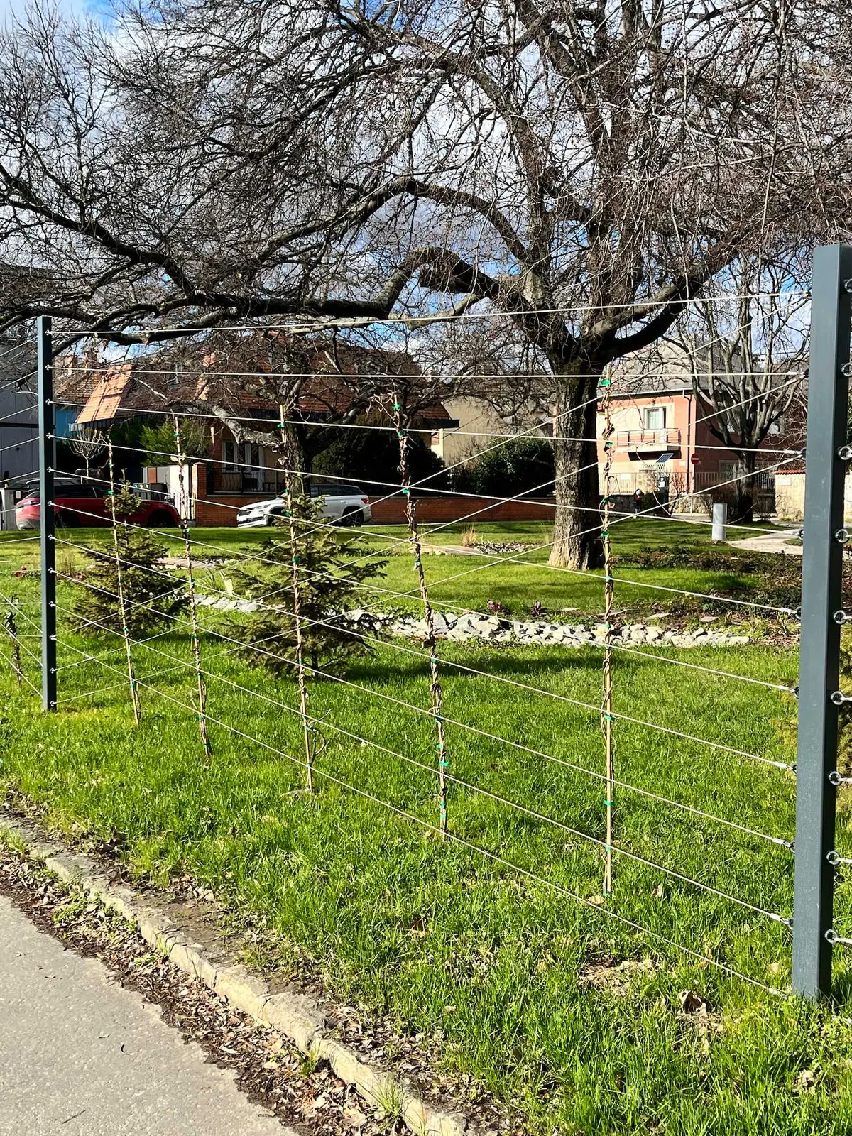 Újbuda Harcos téri park — 10