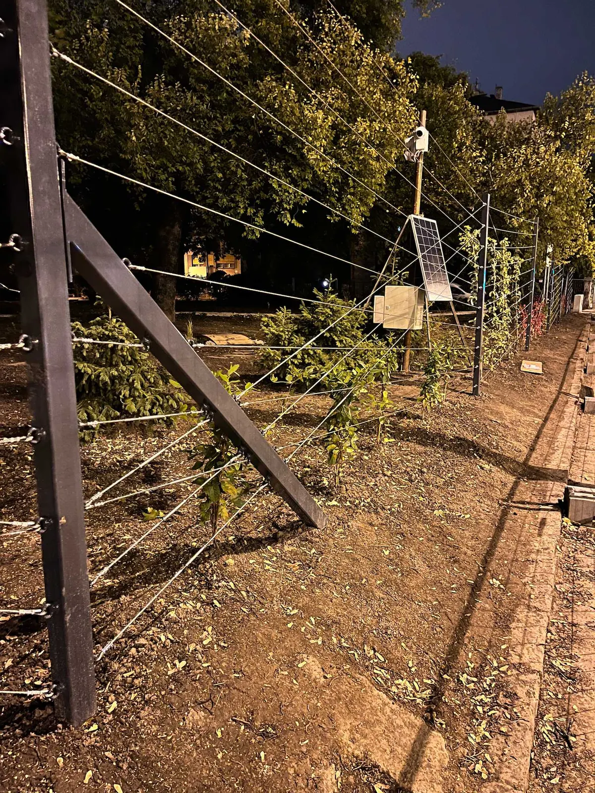 Újbuda Harcos téri park — 28