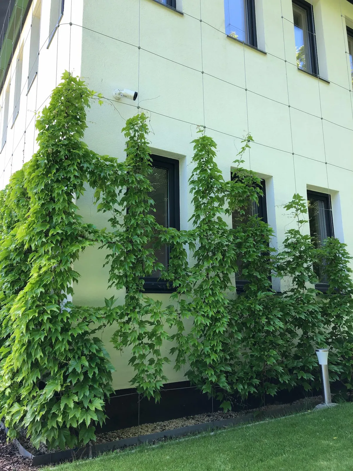 Eurogreen székház — 5
