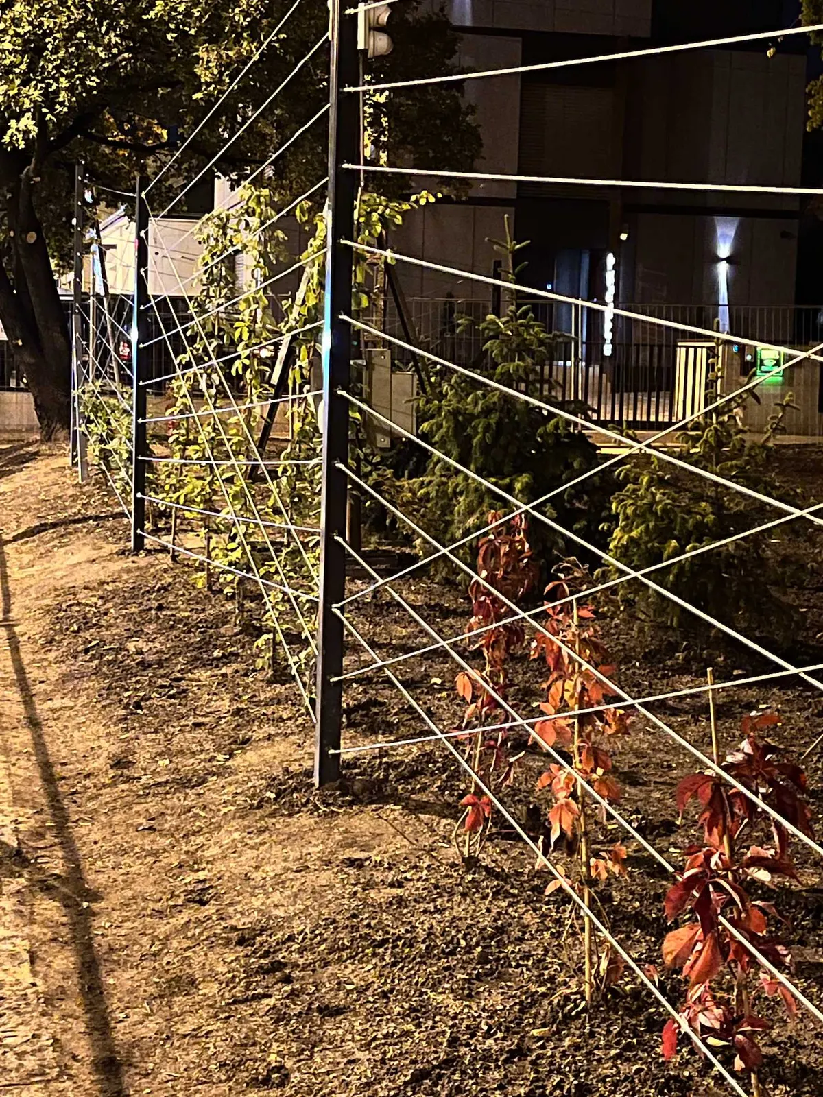 Újbuda Harcos téri park — 23