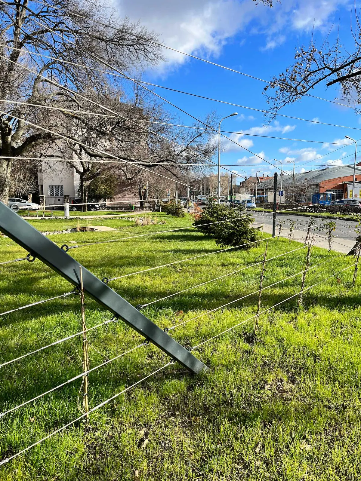 Újbuda Harcos téri park — 19