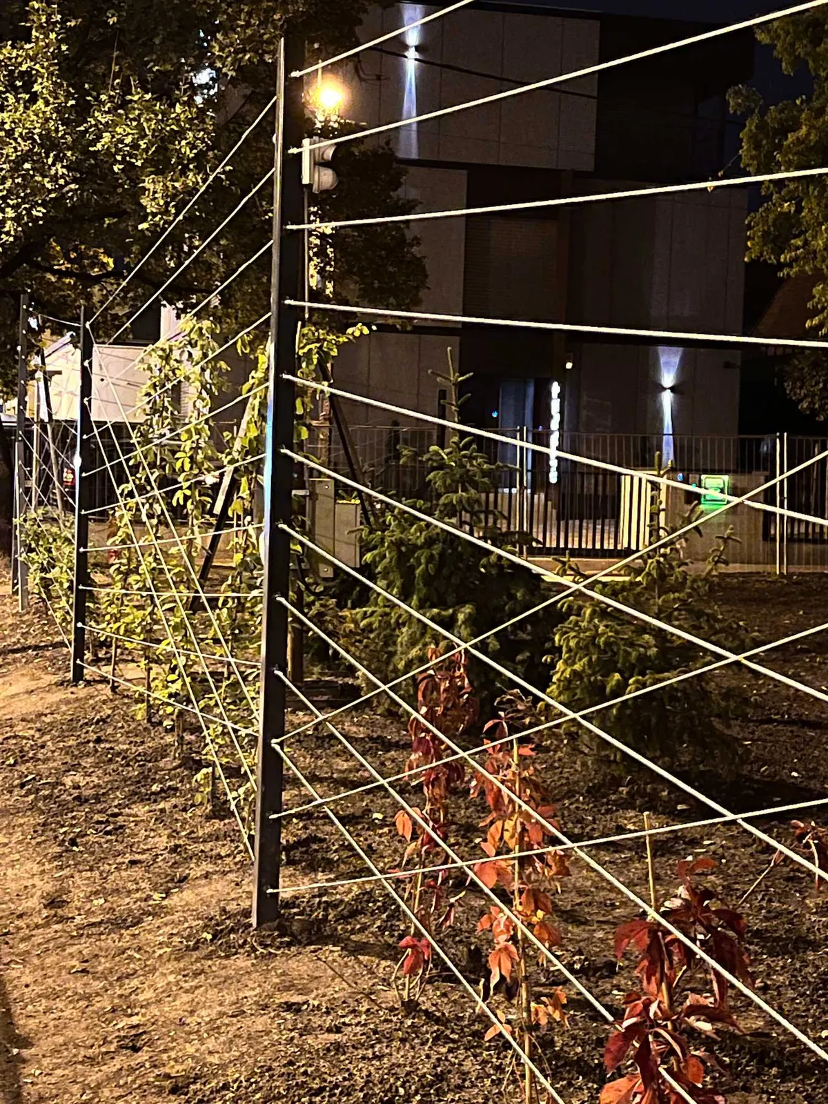 Újbuda Harcos téri park — 22