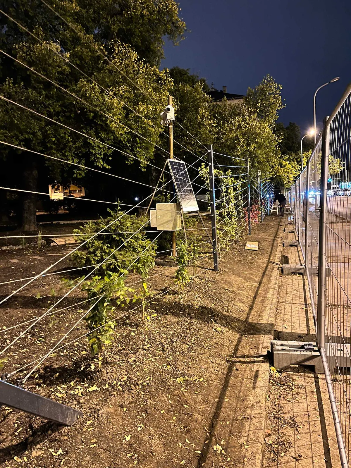 Újbuda Harcos téri park — 27