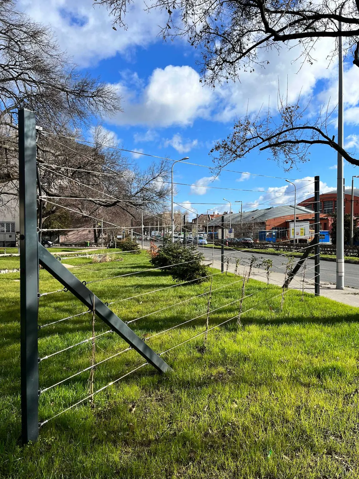 Újbuda Harcos téri park — 2